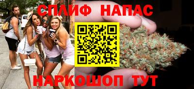 a pvp Тара